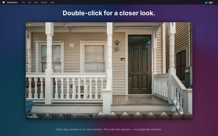 Detail window — single camera fullscreen