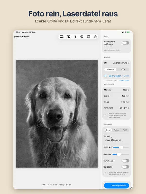 EngraveKit auf dem iPad: Hundefoto mit 100 mm Werkstückbreite und 254 DPI