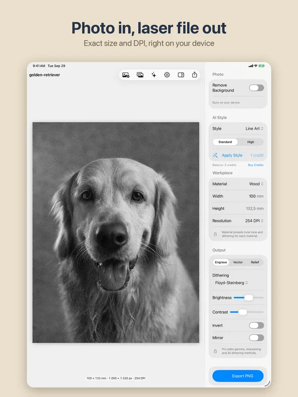 EngraveKit iPad preview of a dog photo sized to 100 mm at 254 DPI
