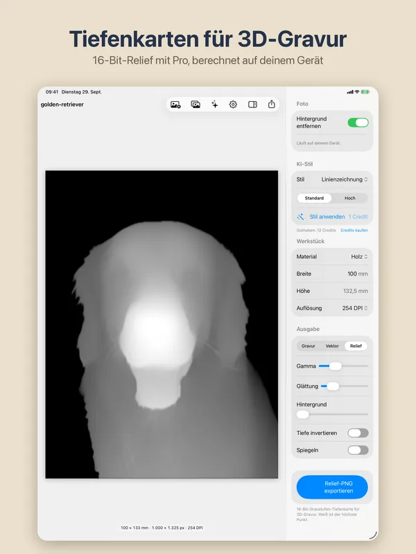 16-Bit-Reliefvorschau in EngraveKit auf dem iPad