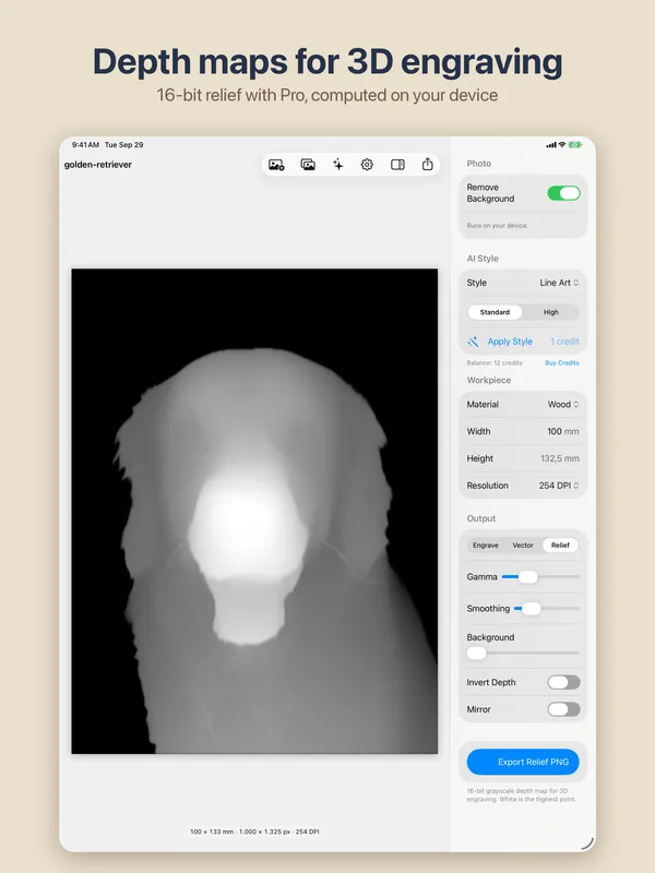 EngraveKit 16-bit relief preview on iPad