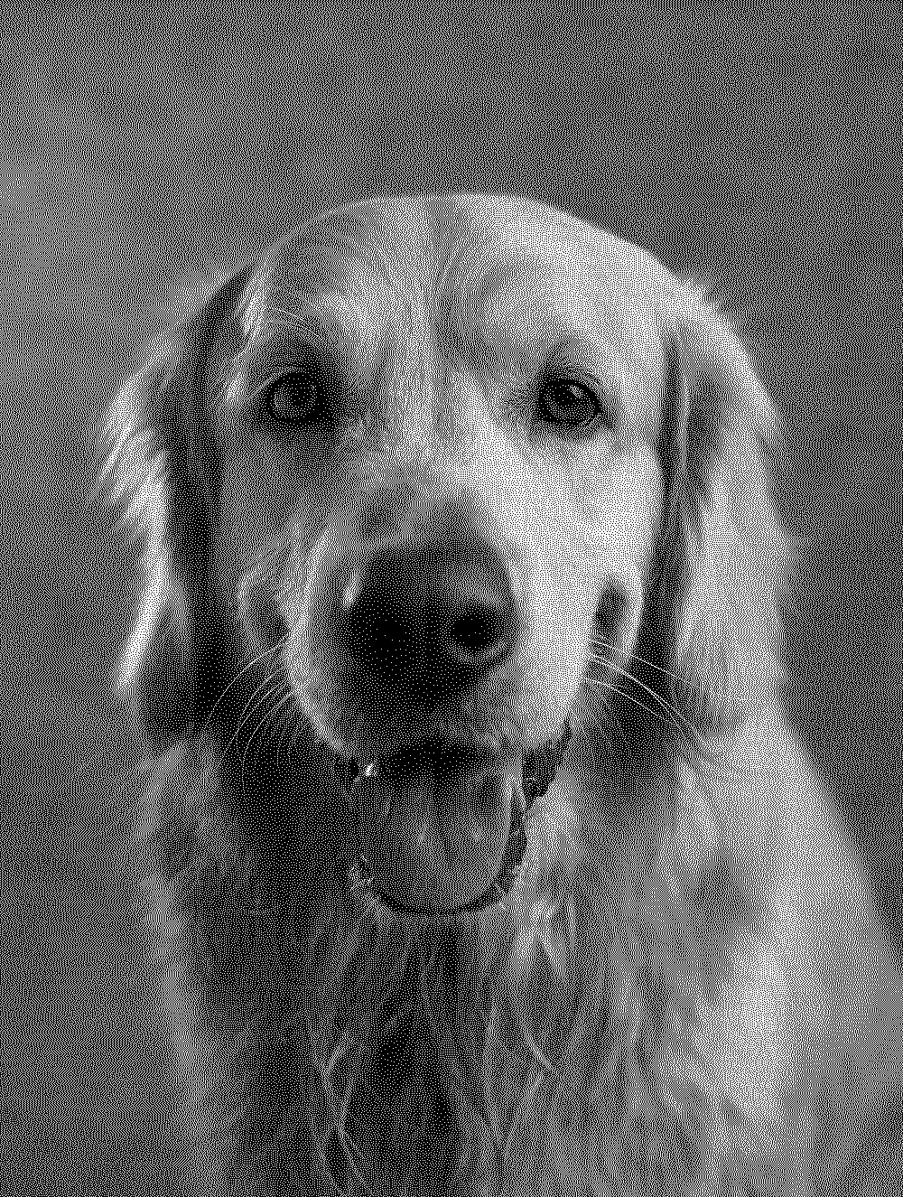 Actual black-and-white dithered 1-bit PNG exported by EngraveKit from the same dog photo